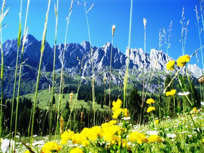 Gaestehaus Gschwandtner Mühlbach am Hochkönig Dış mekan fotoğraf